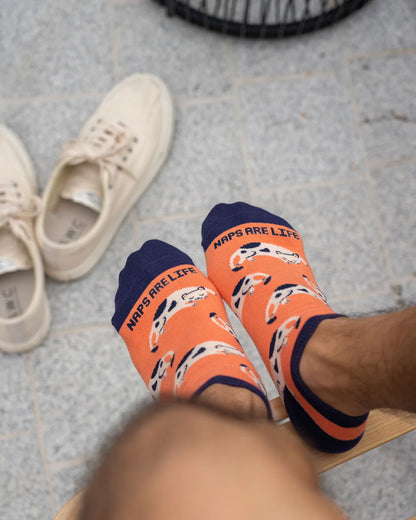 Talking Toes Sleepy Cat (Naps are Life) Ankle Socks | Other Accessories | The Green Collective SG