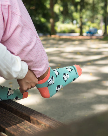 Talking Toes Positive Panda (You are enough) Ankle Sock | Other Accessories | The Green Collective SG