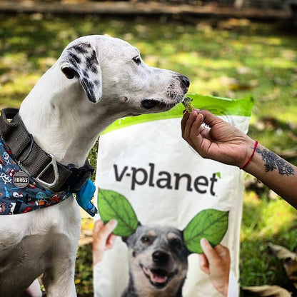 V-Planet Regular (V-Dog) - Premium Vegan Dog Food