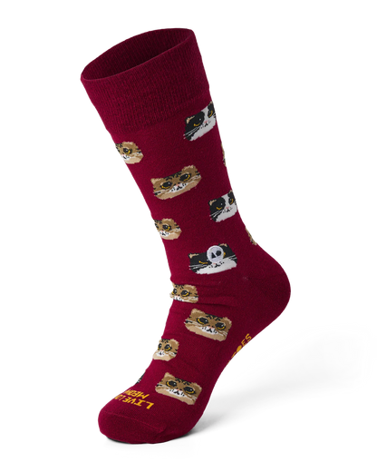 Talking Toes Big-Eyed Kitten Crew Sock | Other Accessories | The Green Collective SG