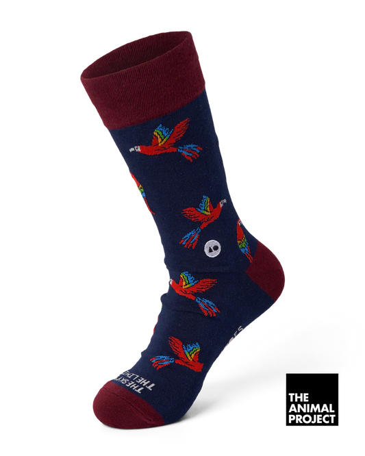 Talking Toes Soaring Macaw One Size Crew Socks for Adults