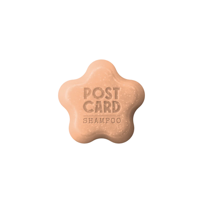 Postcard Solid Shampoo Bar 60 gm (for 60-80uses)