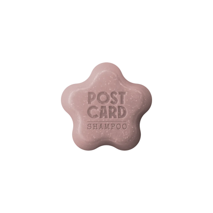 Postcard Solid Shampoo Bar 60 gm (for 60-80uses)