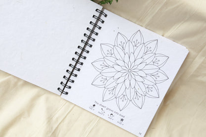 Purple and Pure Mandala coloring Book | stationary | The Green Collective SG