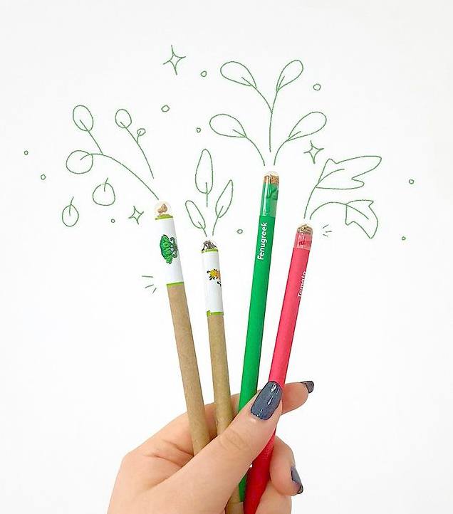 Purple & Pure EcoGrow Seed Pencils with Herbs and Flowers | Stationary | The Green Collective SG