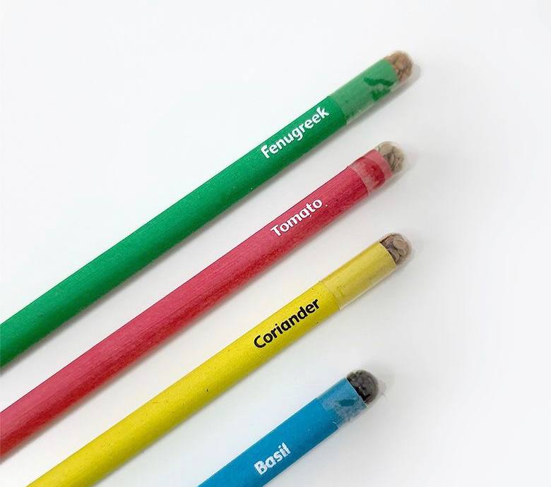 Purple & Pure EcoGrow Seed Pencils with Herbs and Flowers | Stationary | The Green Collective SG