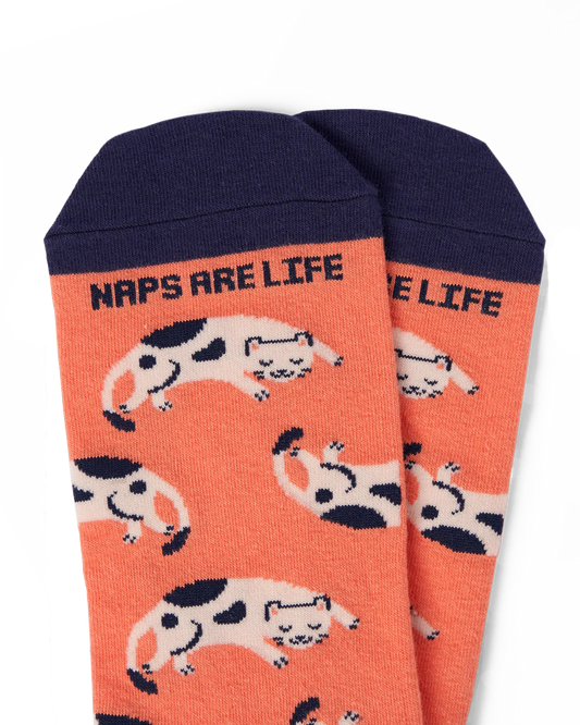 Talking Toes Sleepy Cat (Naps are Life) Ankle Socks | Other Accessories | The Green Collective SG