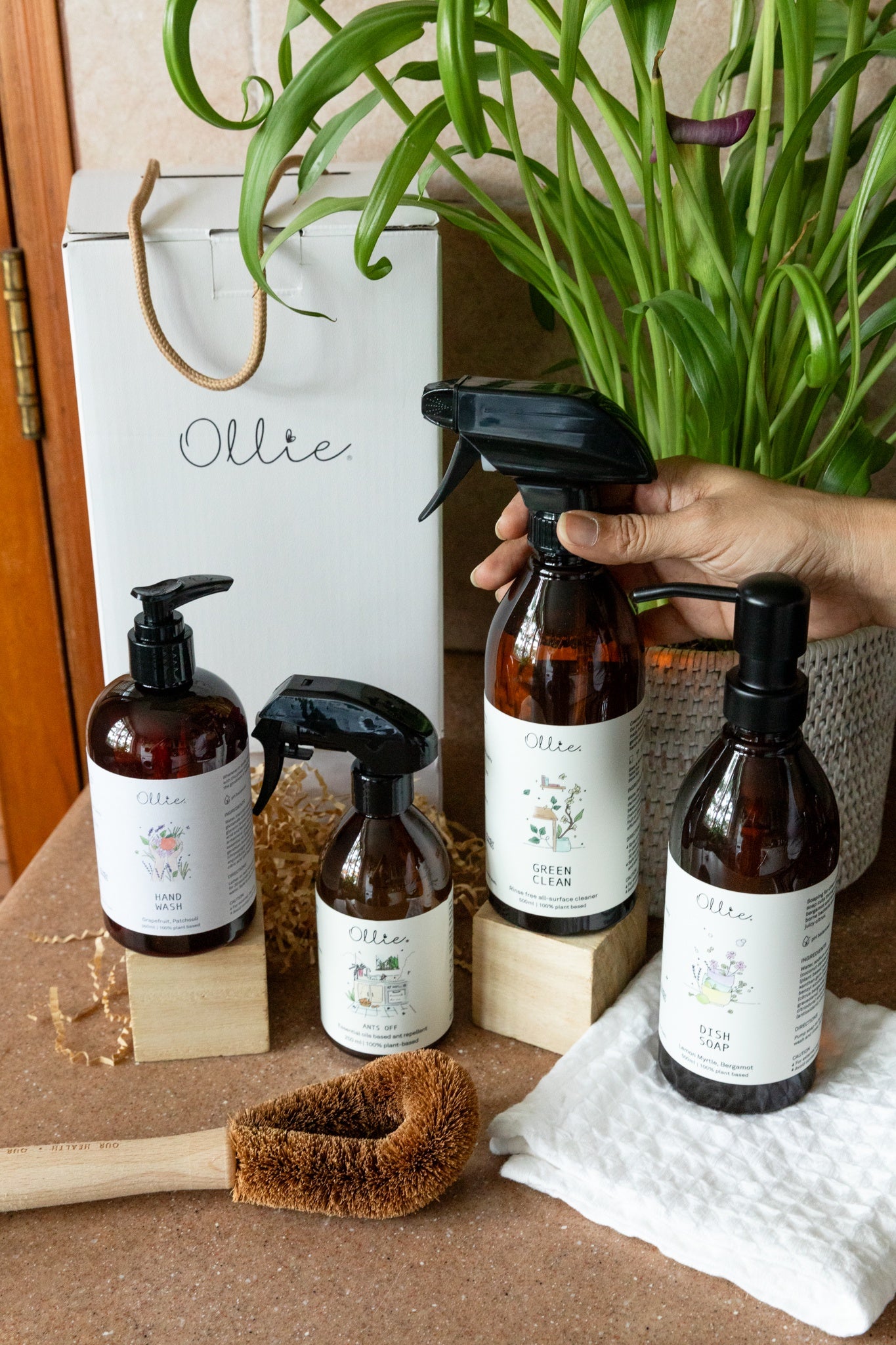 Ollie Home Care Box | Cleaning supplies | The Green Collective SG