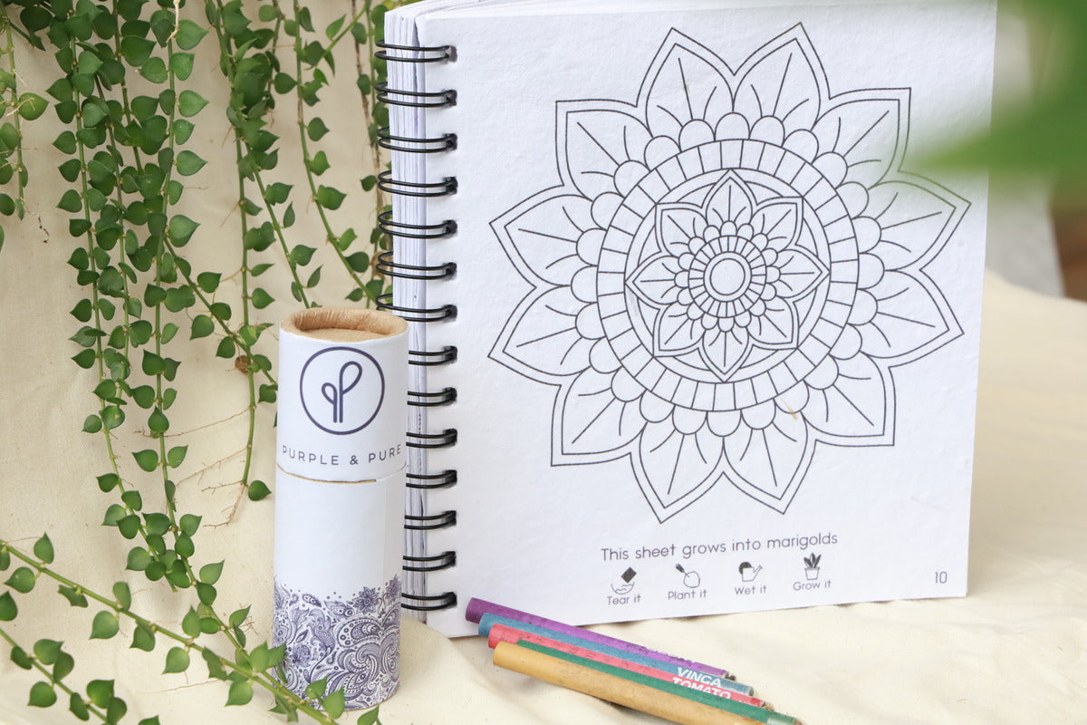 Purple & Pure Plantable Mandala Colouring Gift Set | stationary | The Green Collective SG