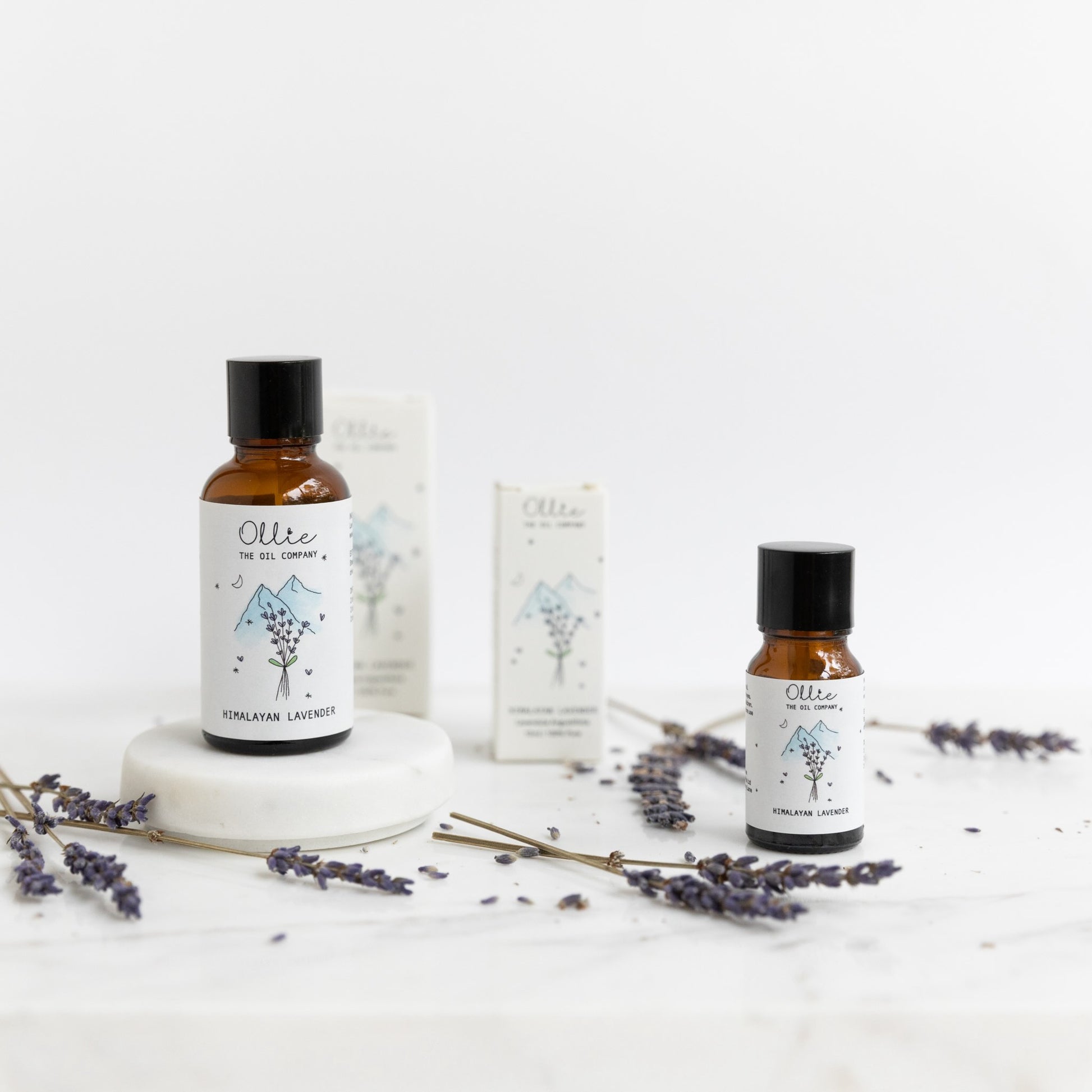 Ollie Himalayan Lavender Oil | Skincare Oils | The Green Collective SG