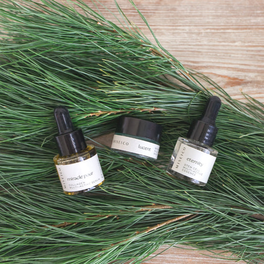 Miseico Pro-Age Discovery Collection | Skincare | The Green Collective SG