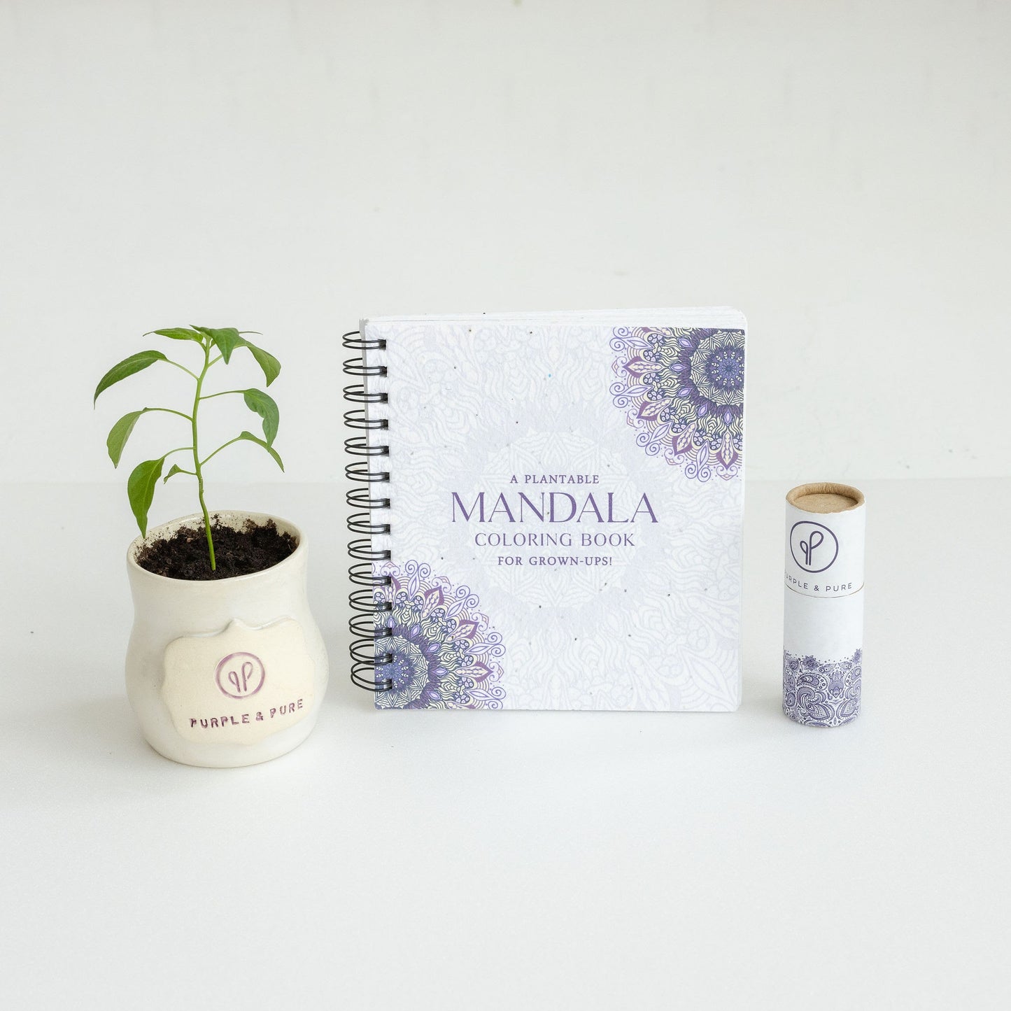 Purple & Pure Plantable Mandala Colouring Gift Set | stationary | The Green Collective SG