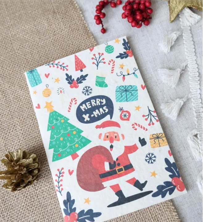 Purple & Pure Christmas Seed Notebook and Pencil Set | Other Accessories | The Green Collective SG