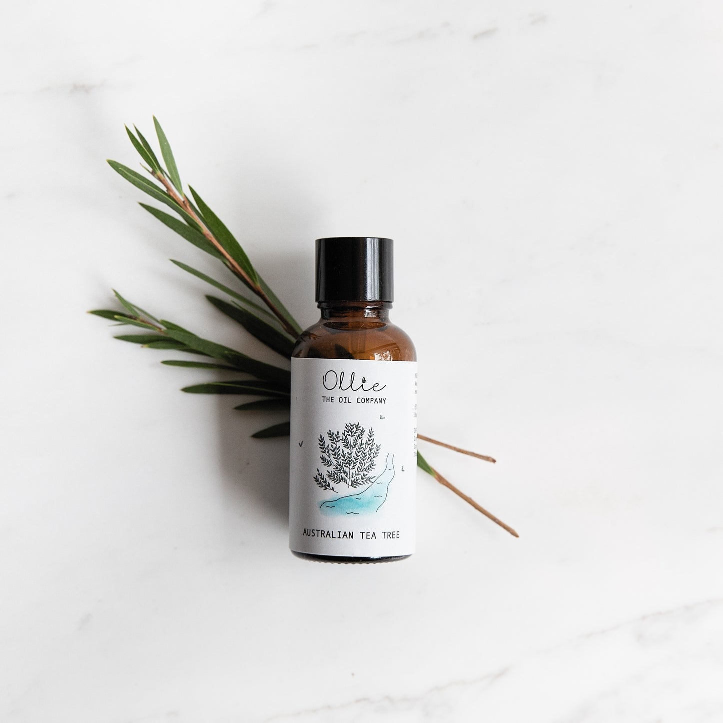 Ollie Australian Tea Tree Oil | Skincare Oils | The Green Collective SG