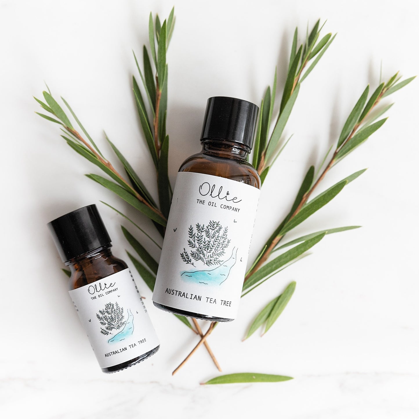 Ollie Australian Tea Tree Oil | Skincare Oils | The Green Collective SG