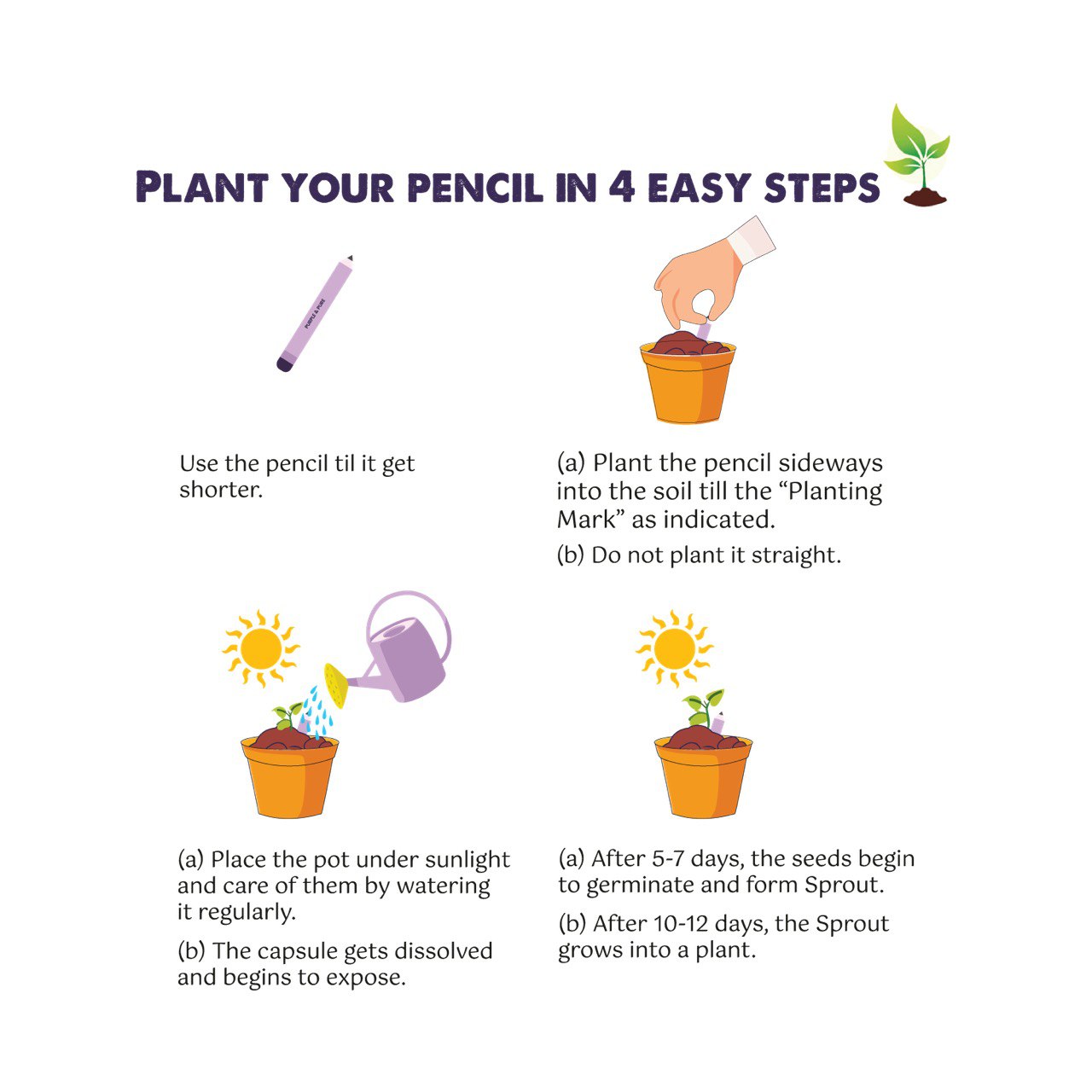 Purple & Pure EcoGrow Seed Pencils with Herbs and Flowers | Stationary | The Green Collective SG