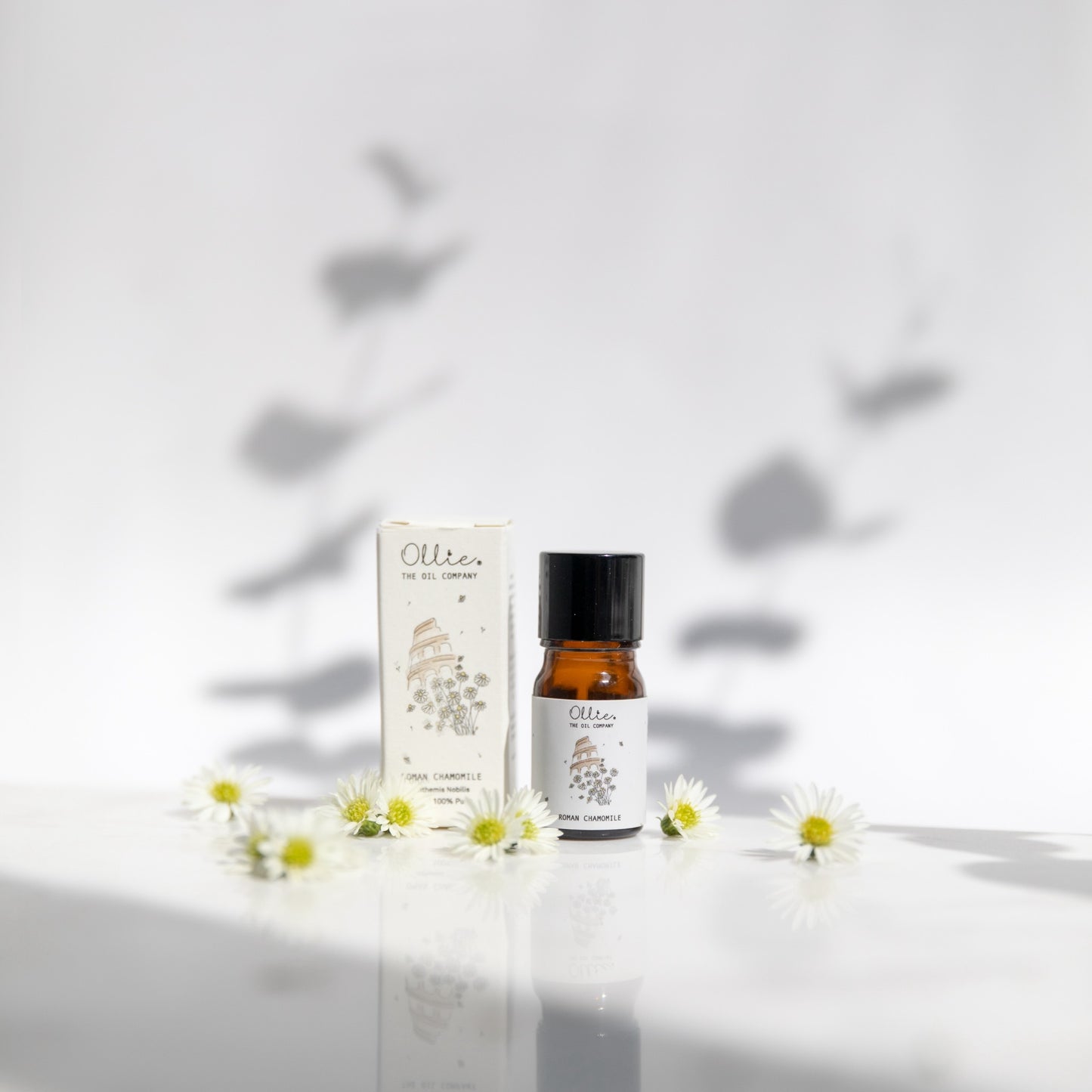 Ollie Roman Chamomile Oil | Skincare Oils | The Green Collective SG