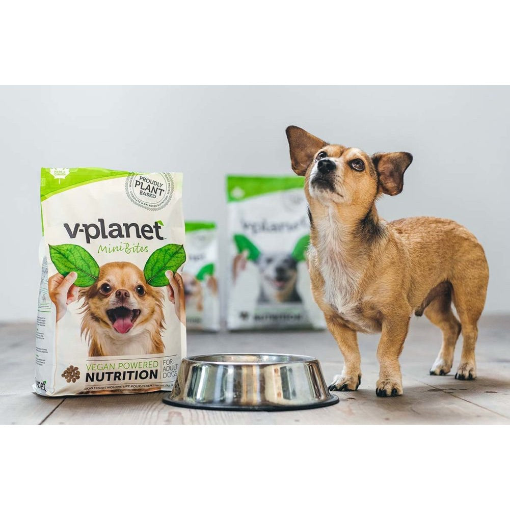 Vegan Dog food from V-Planet | PETS | The Green Collective SG