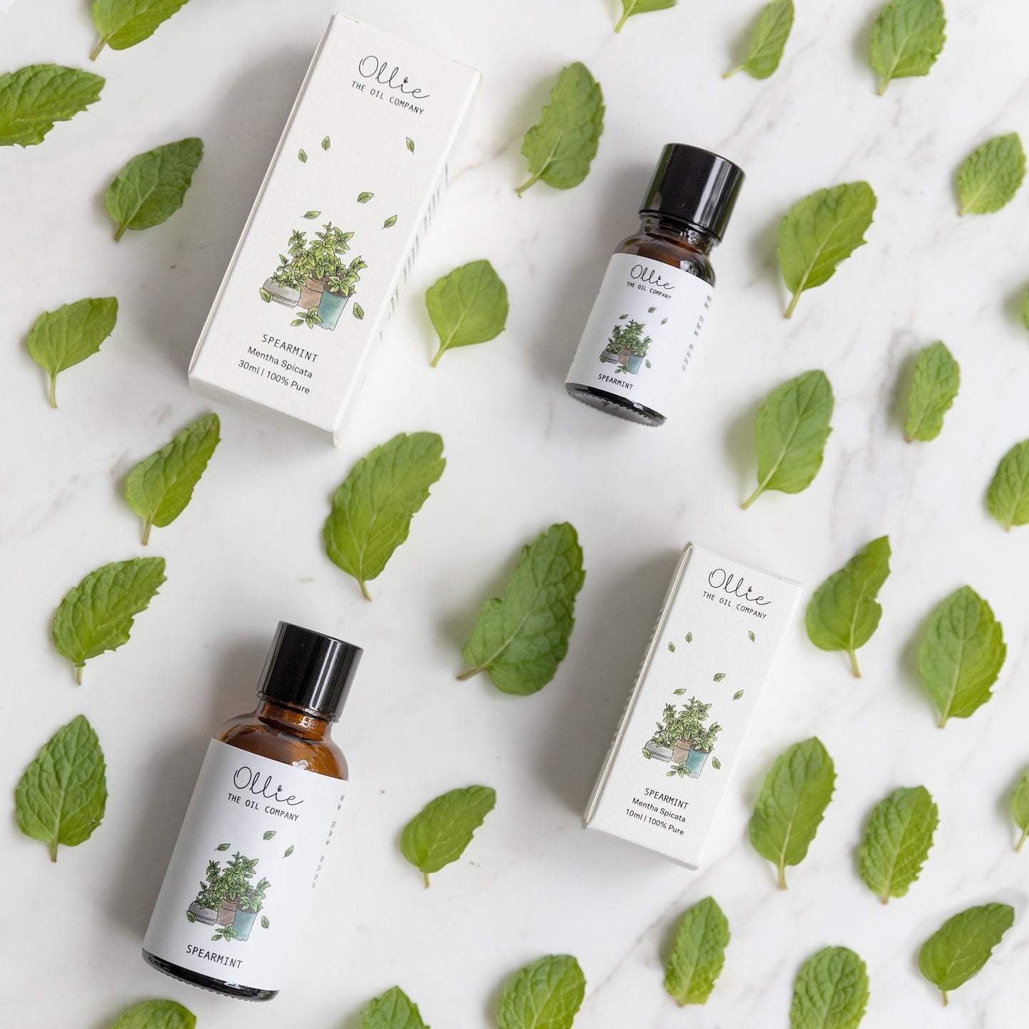 Ollie Spearmint Oil | oral care | The Green Collective SG