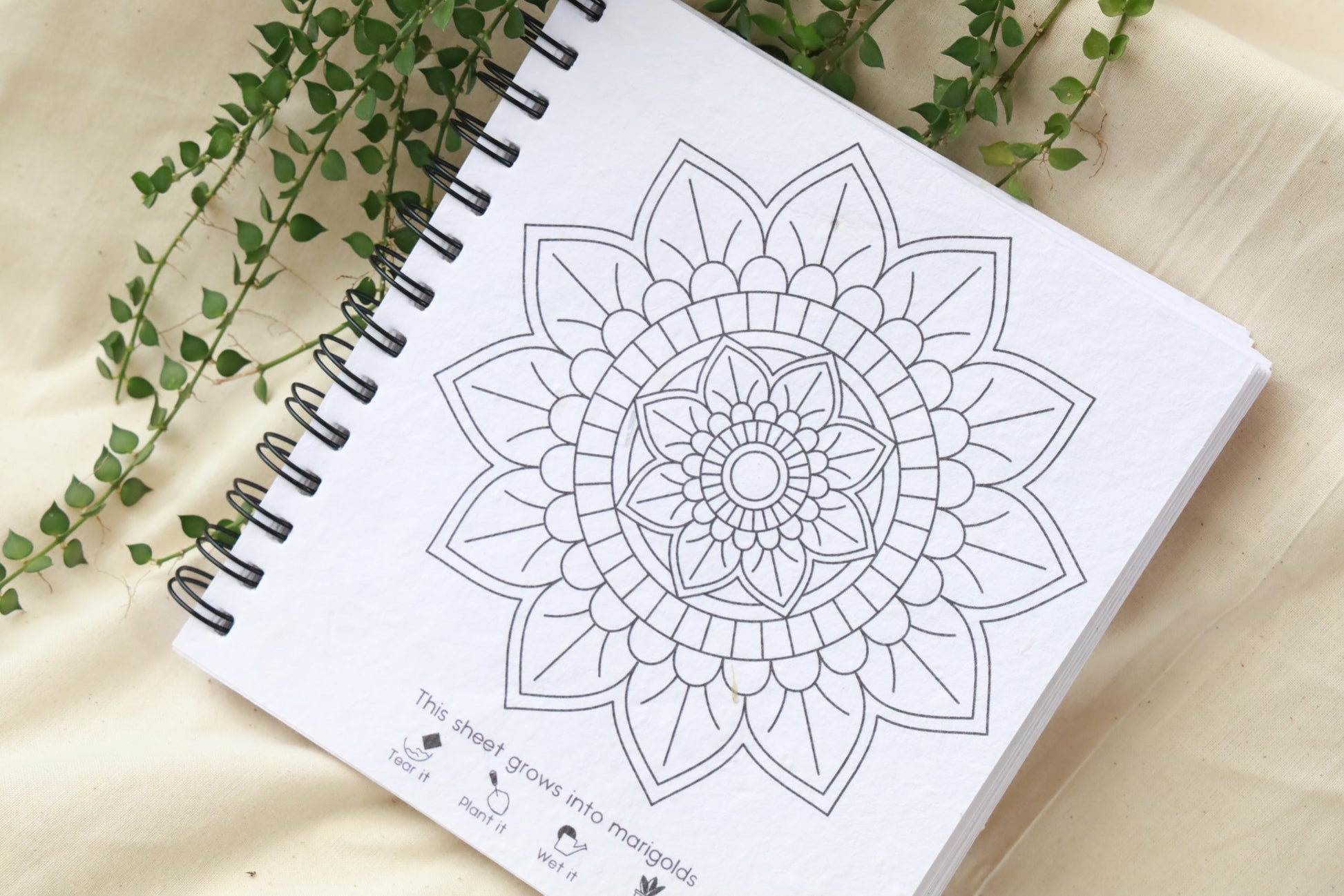 Purple & Pure Plantable Mandala Colouring Gift Set | stationary | The Green Collective SG