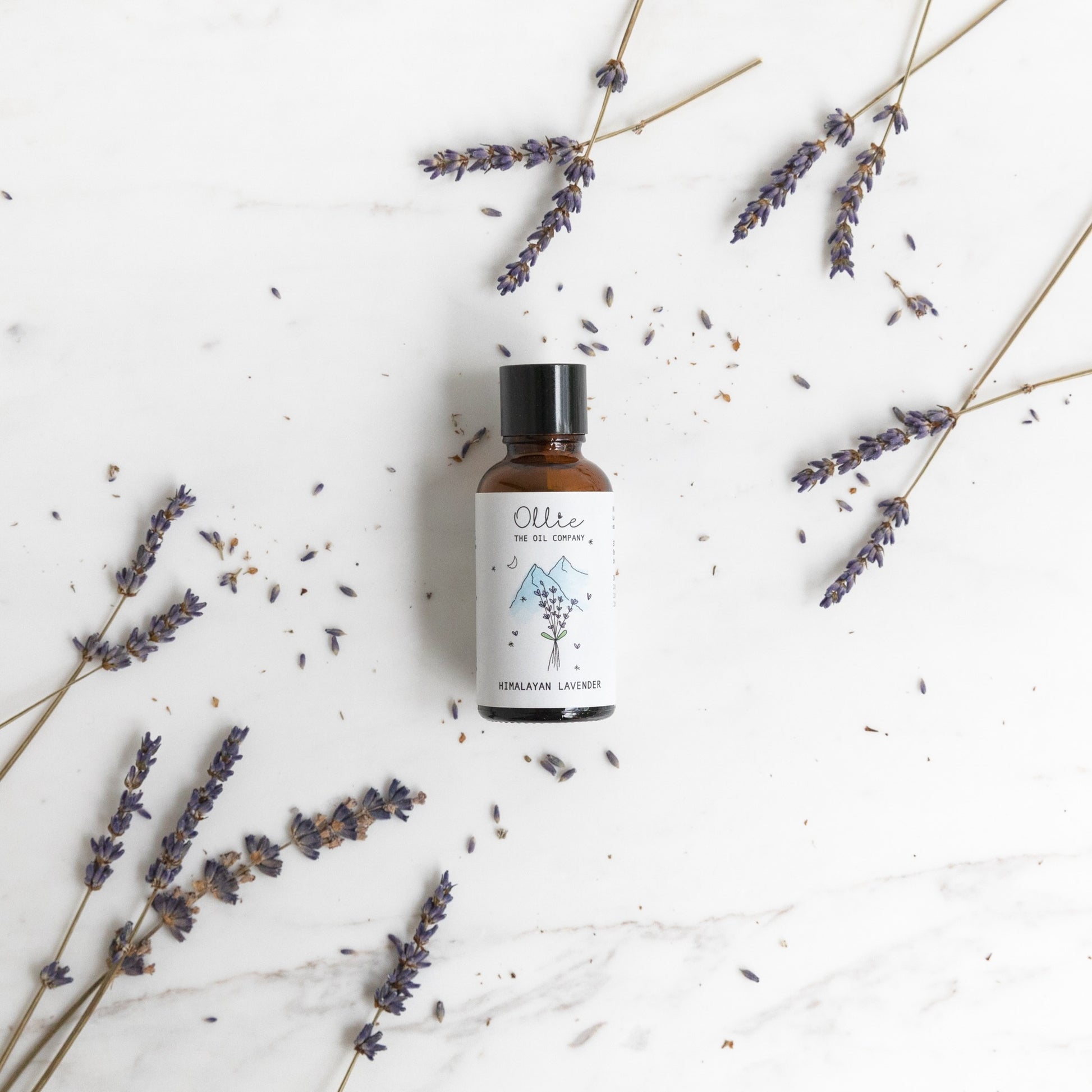 Ollie Himalayan Lavender Oil | Skincare Oils | The Green Collective SG