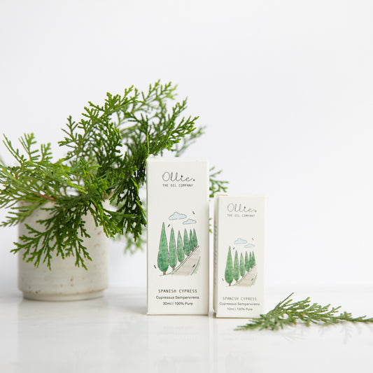 Ollie Spanish Cypress Oil | Home fragrances | The Green Collective SG