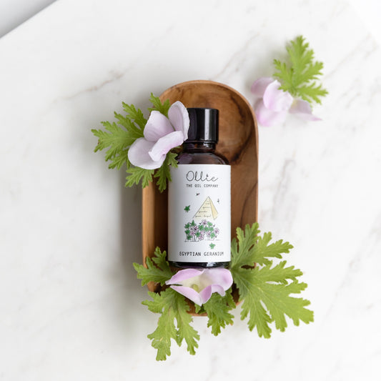 Ollie Egyptian Geranium Oil | Skincare Oils | The Green Collective SG