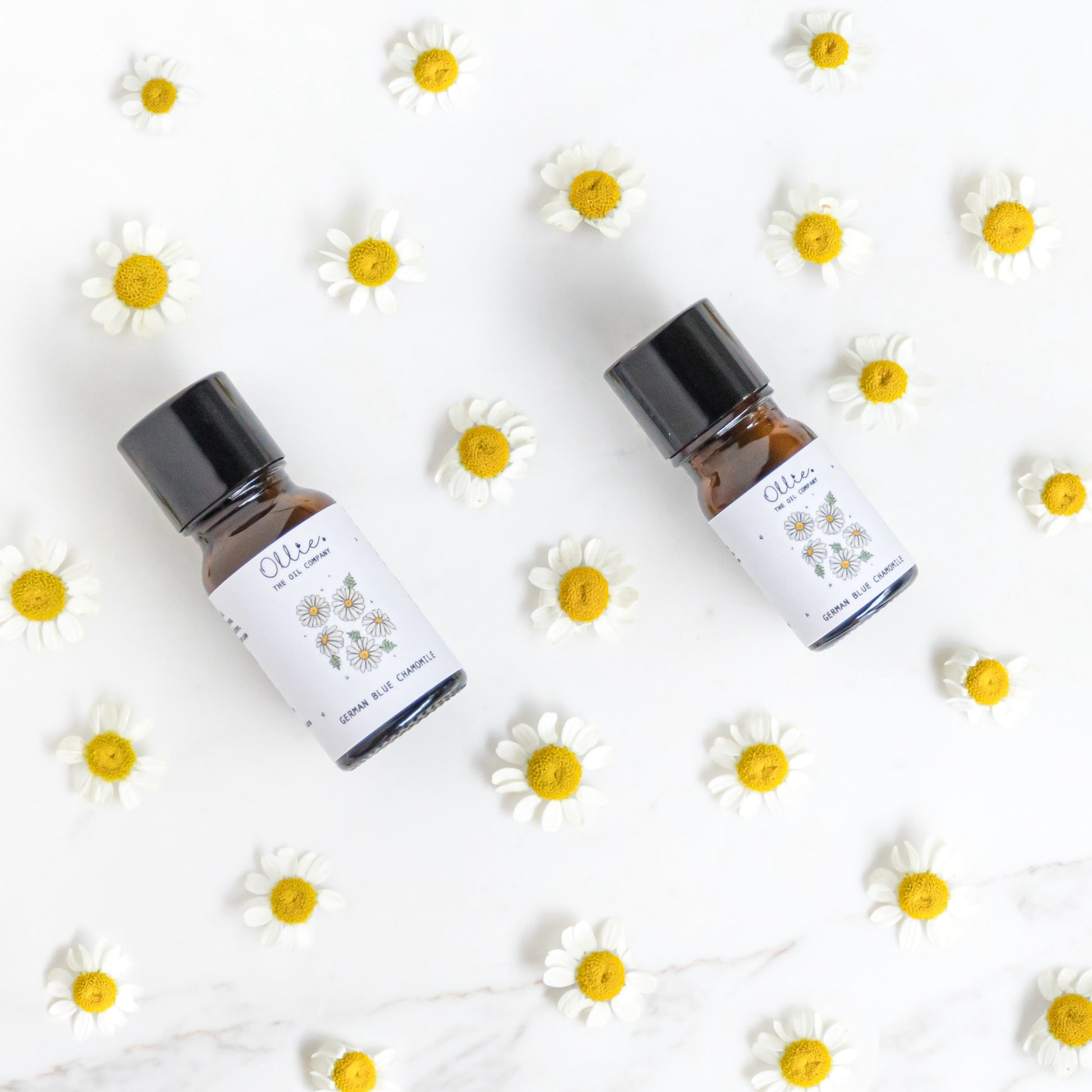 Ollie German Blue Chamomile Oil | Skincare Oils | The Green Collective SG