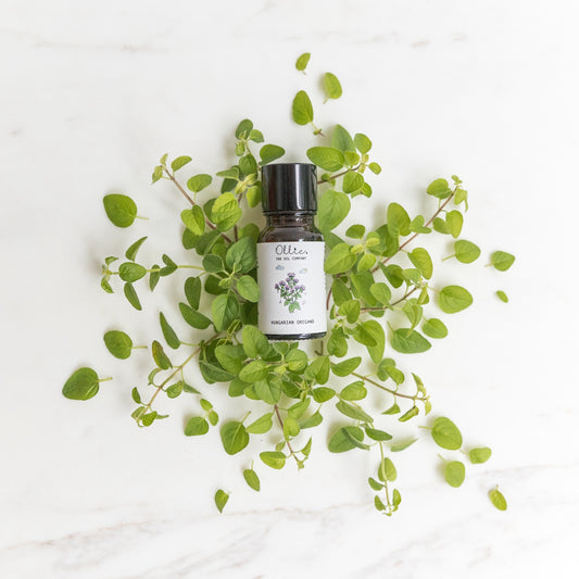 Ollie Hungarian Oregano Oil | Skincare Oils | The Green Collective SG